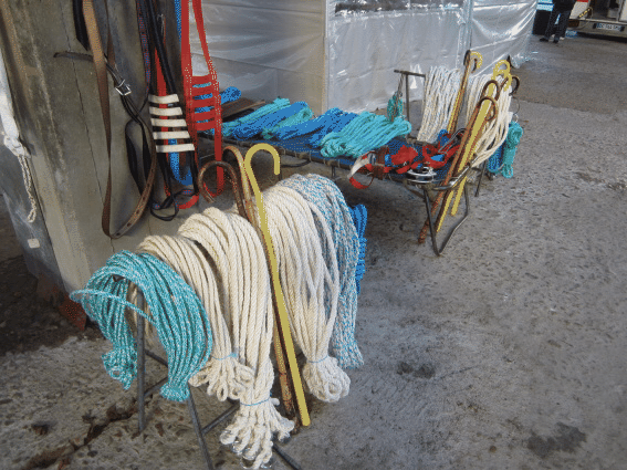 bateau d'argile et d'eau, francis dumelié, marché aux bestiaux de St Christophe en Brionnais