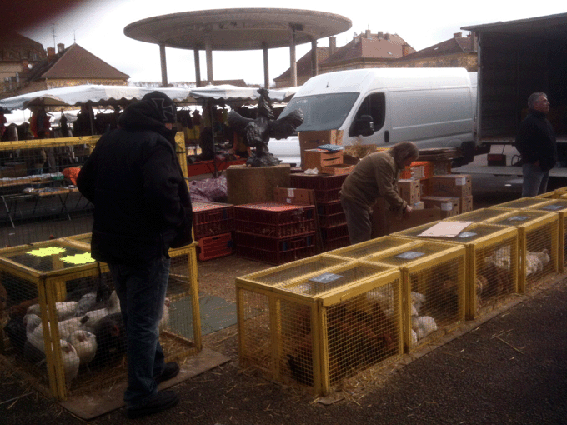 bateau d'argile et d'eau, francis dumelié, le marché de Marcigny